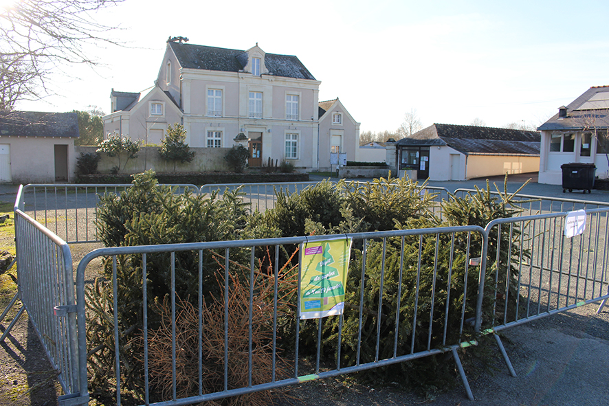 Dépôts de sapins de Noël