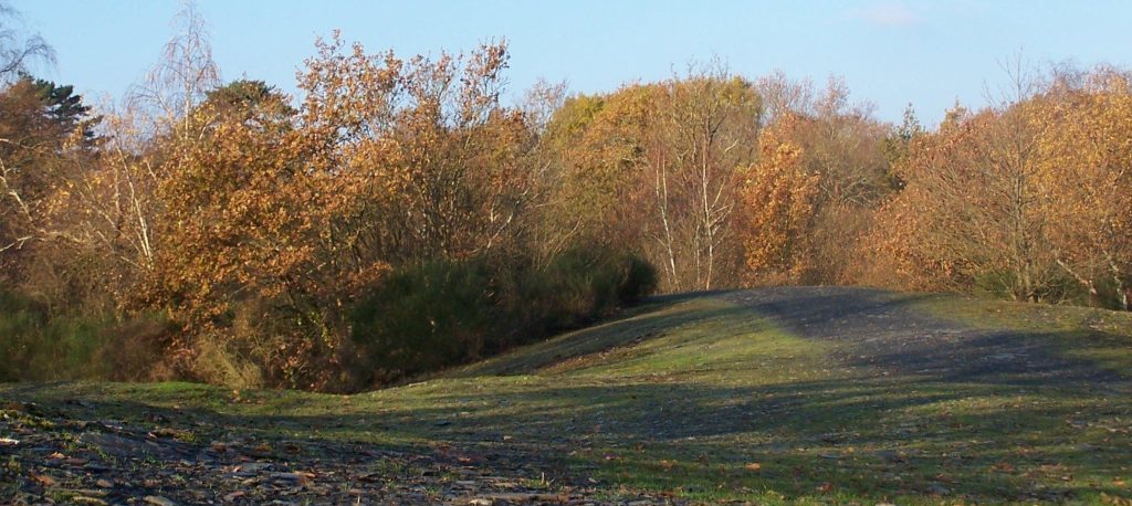 Parc des Garennes ardoises