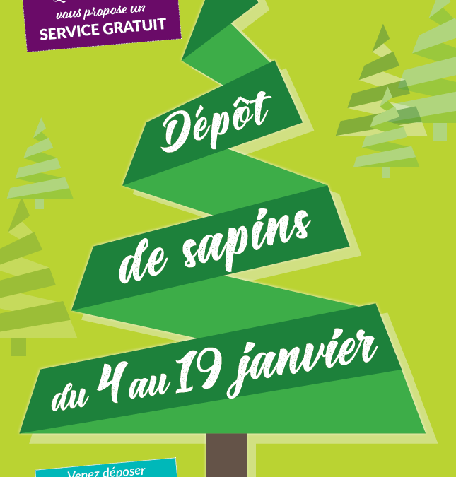 Dépôt de sapins végétaux