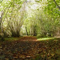 Sentier