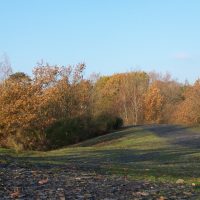 Le parc en automne