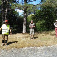 Spectacle Arbres dans le cadre des Rendez-vous Nature en Anjou