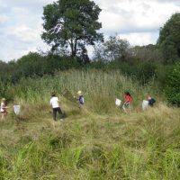 Chasse aux insectes