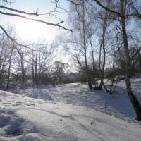 Parc sous la neige