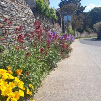 Fleurissement des pieds de mur